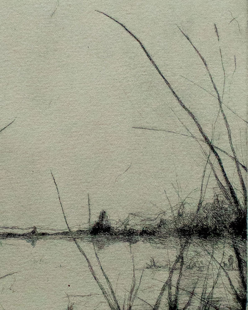 “Sembrando Paisajes”